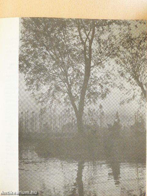 Tattwa - Tattwaórával