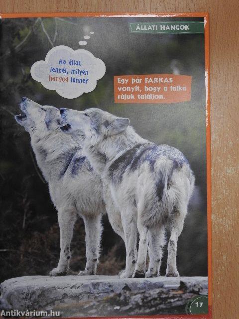 Disney Állati Szafari 38.