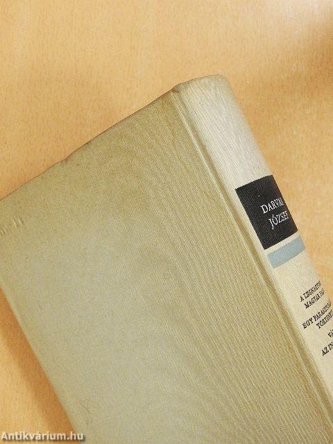 A legnagyobb magyar falu/Egy parasztcsalád története/Város az ingoványon