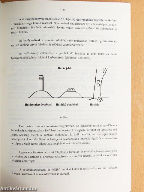 Üzemterv szerinti erdőgazdálkodás a magánerdőkben