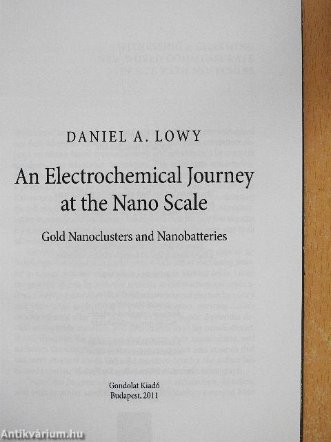 An Electrochemical Journey at the Nano Scale