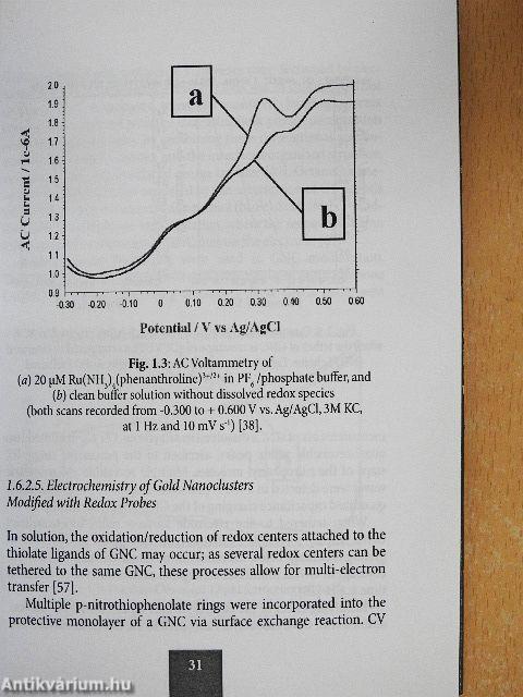 An Electrochemical Journey at the Nano Scale