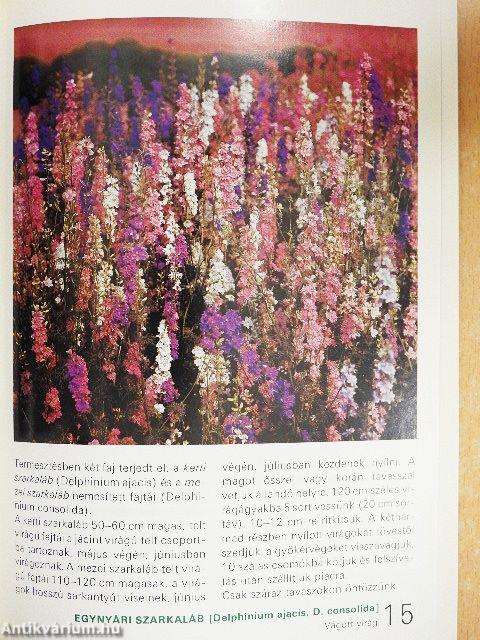 Az egy- és kétnyári virágokról