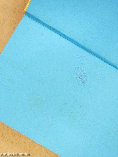 Tibet, az elveszett ország