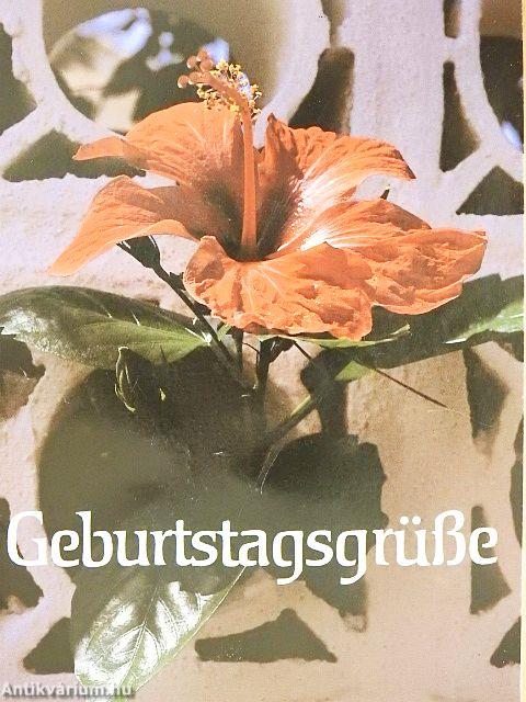 Geburtstagsgrüße