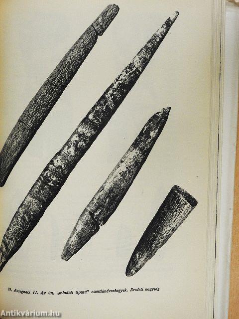 Medveemberek krónikája