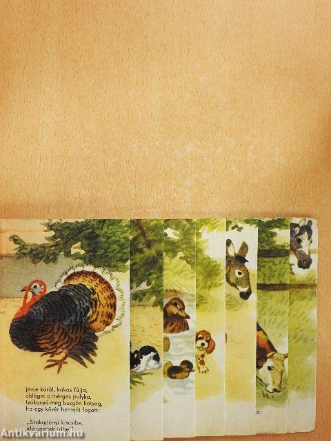 Csibék, cicák, kiscsikók