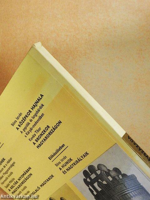 Pannonok évszázada