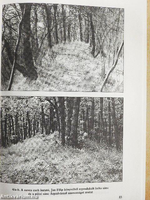 Az Árpád-kori Buda nyomai a Pilisben