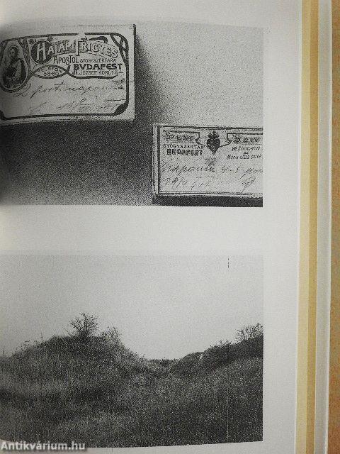 A humanista orvoslás