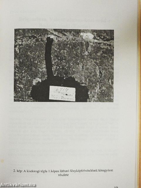 Pannoniai kutatások