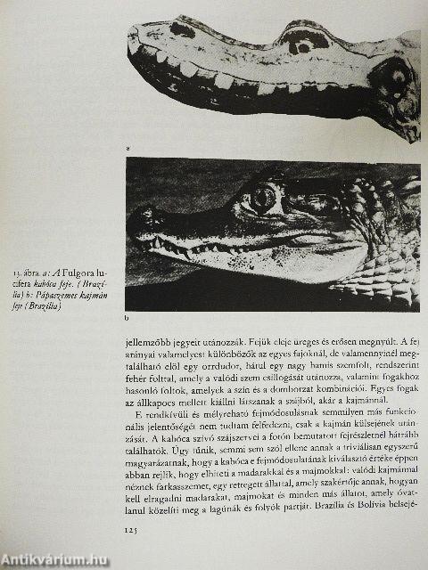 Illúzió a természetben és a művészetben