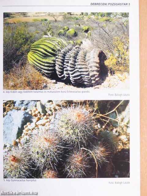 Debreceni Pozsgástár 2001/1-4.