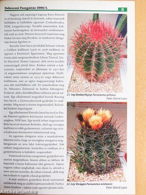 Debreceni Pozsgástár 2006/1-4.