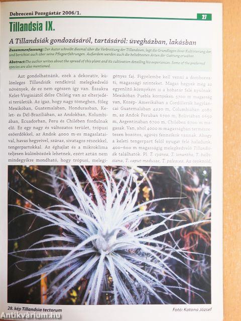 Debreceni Pozsgástár 2006/1-4.