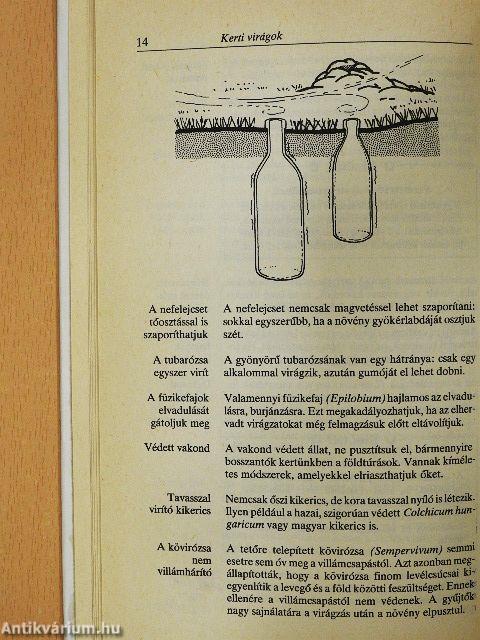 Ezer ragyogó ötlet hobbikertészeknek