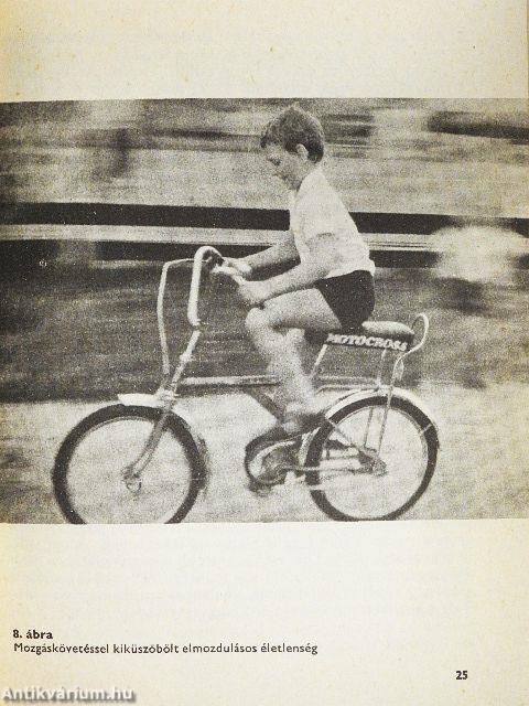 Üdülünk, fényképezünk a Balatonnál