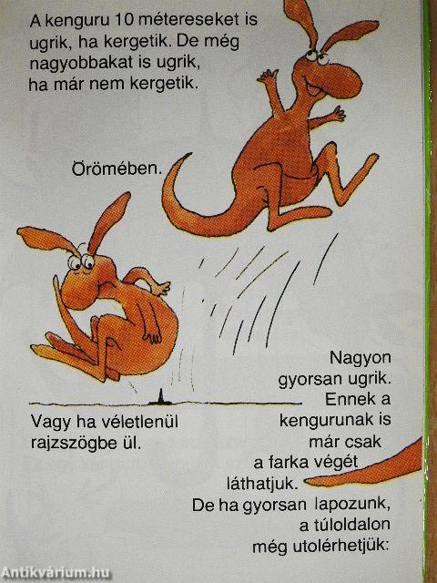 Amit a kengurukról feltétlenül tudni kell