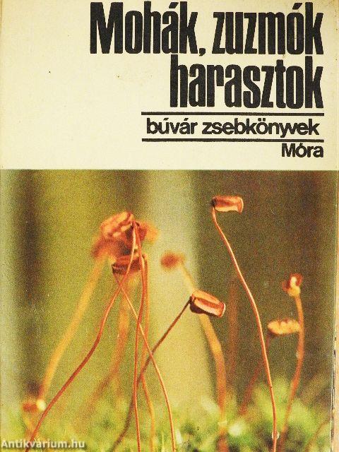 Mohák, zuzmók, harasztok