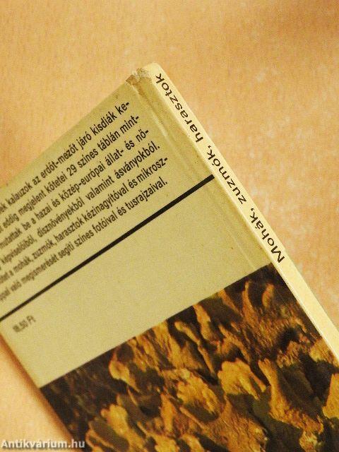 Mohák, zuzmók, harasztok