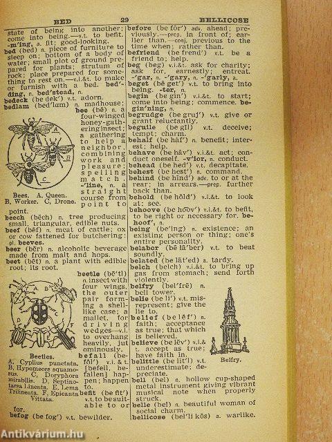 Webster's New Handy Pocket Dictionary