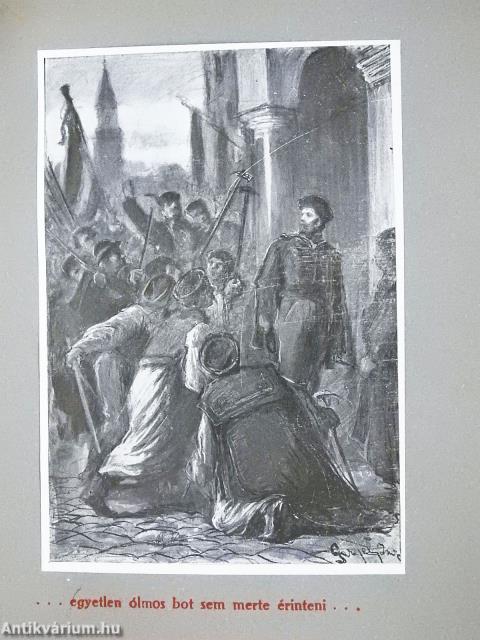 Gróf Vay Sándor munkái I-X.