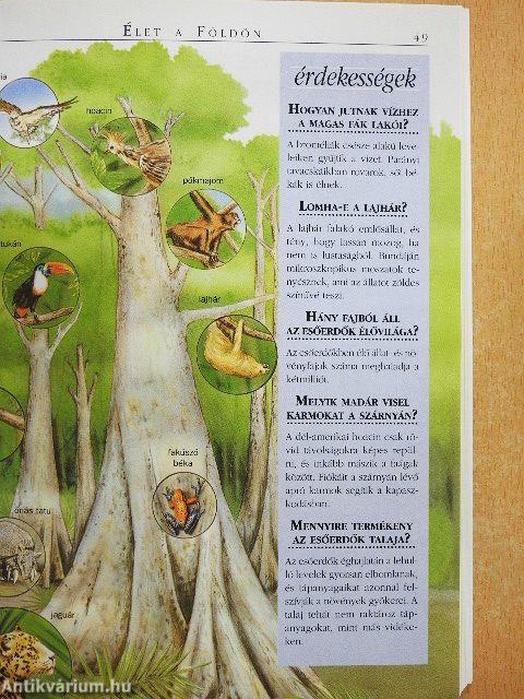 1000 kérdés - ezer válasz