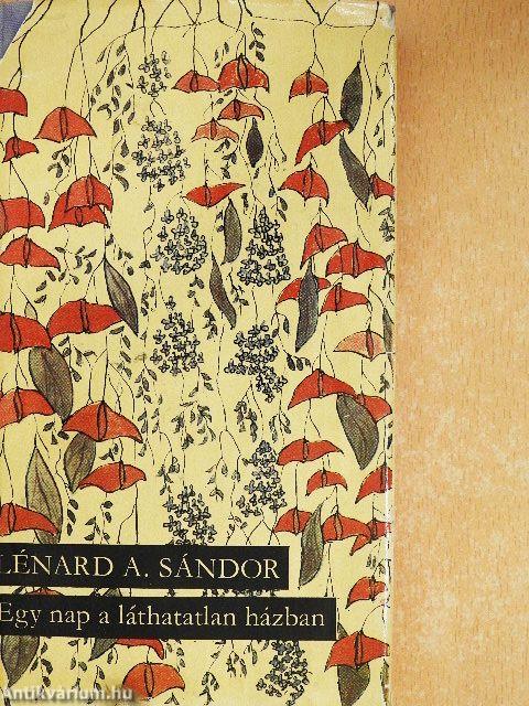 Egy nap a láthatatlan házban