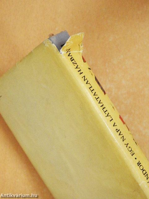 Egy nap a láthatatlan házban