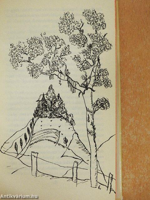 Egy nap a láthatatlan házban