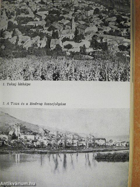 Tokaj