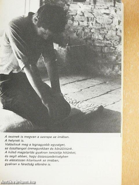 Városban pusztai magányod