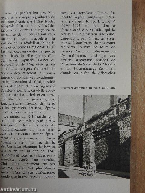 Cluj et ses environs