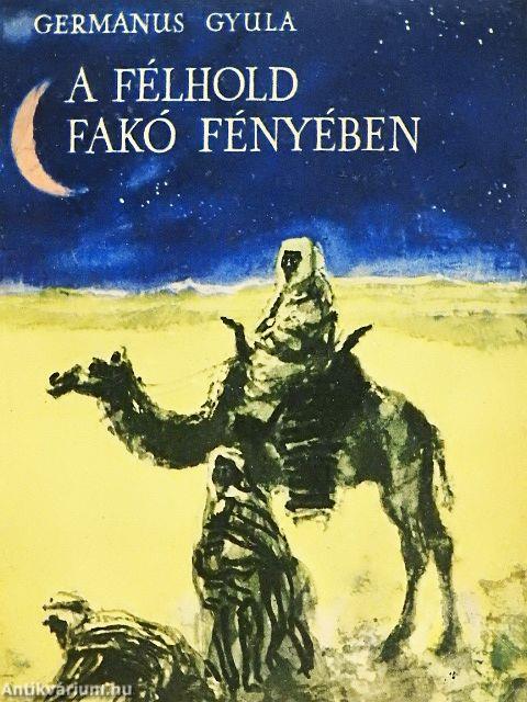 A félhold fakó fényében