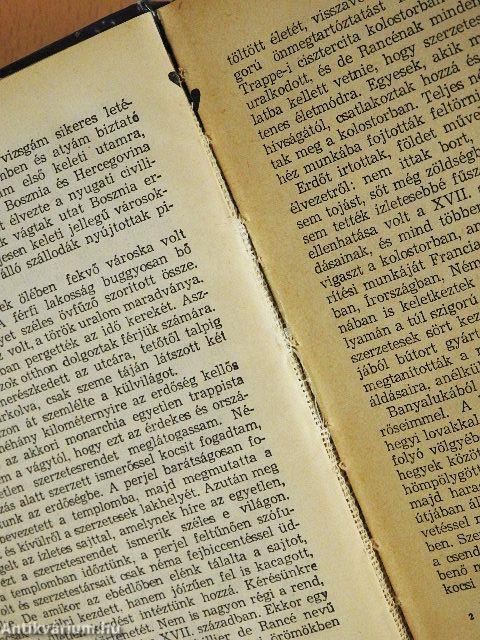 A félhold fakó fényében