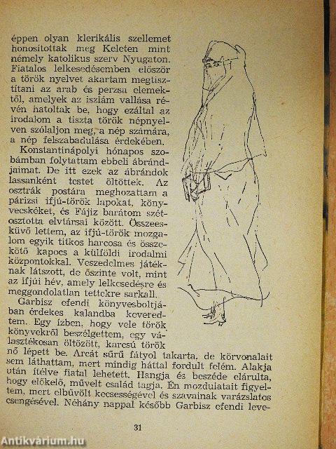 A félhold fakó fényében