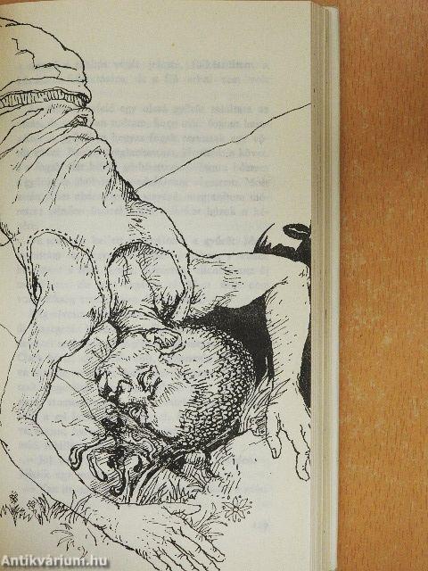 Feketék és fehérek