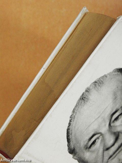 Arcképvázlat történelmi háttérrel