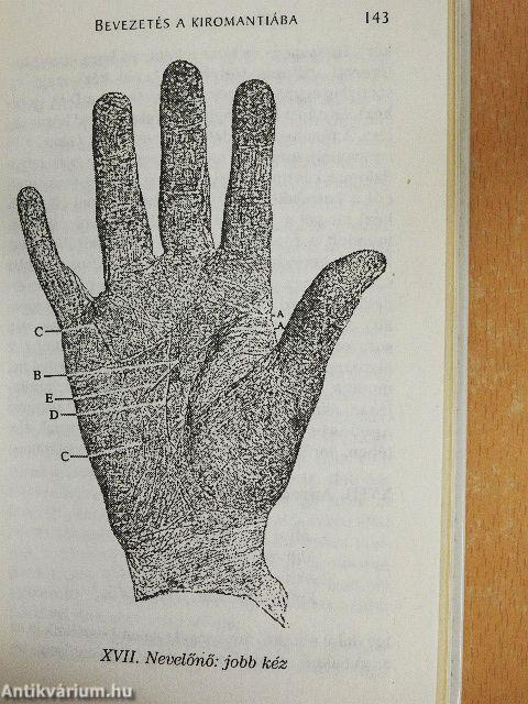 Mit mutat a tenyér?