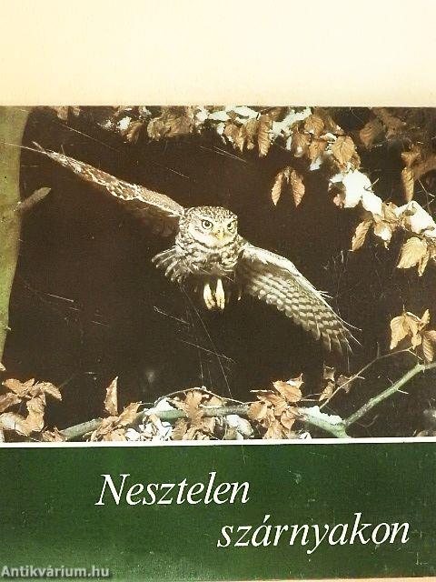 Nesztelen szárnyakon