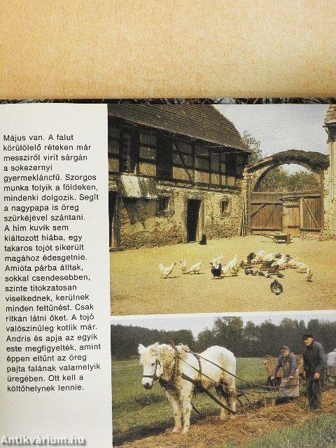 Nesztelen szárnyakon