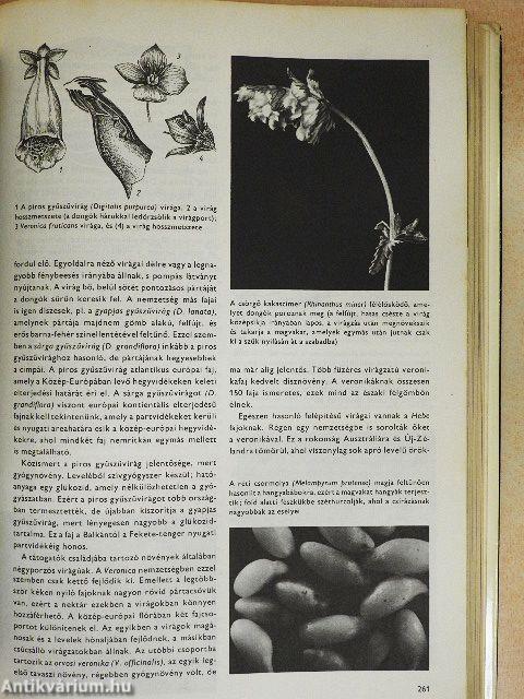 Urania Növényvilág - Magasabbrendű növények I-II.