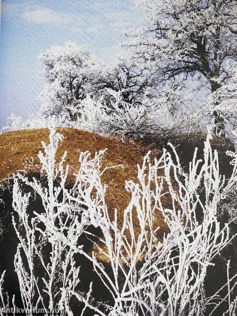 Chapman a szeretetről