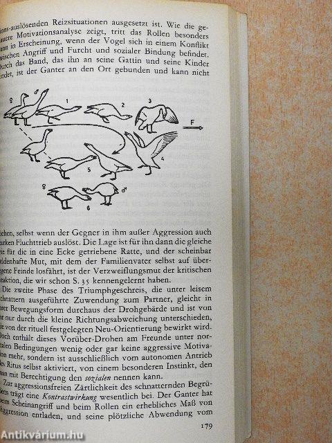 Das sogenannte Böse