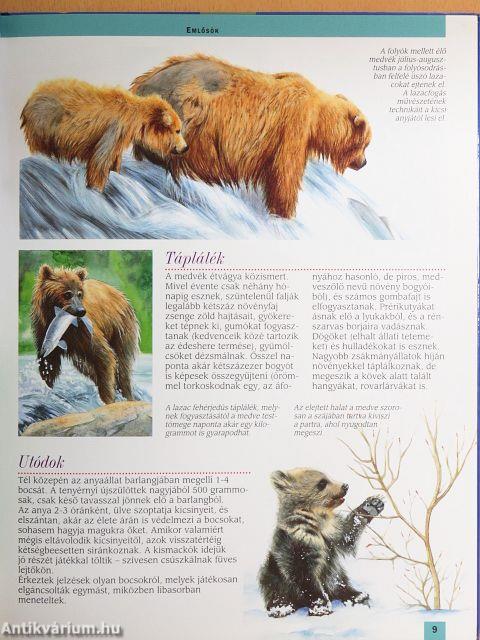 Észak-Amerika állatvilága