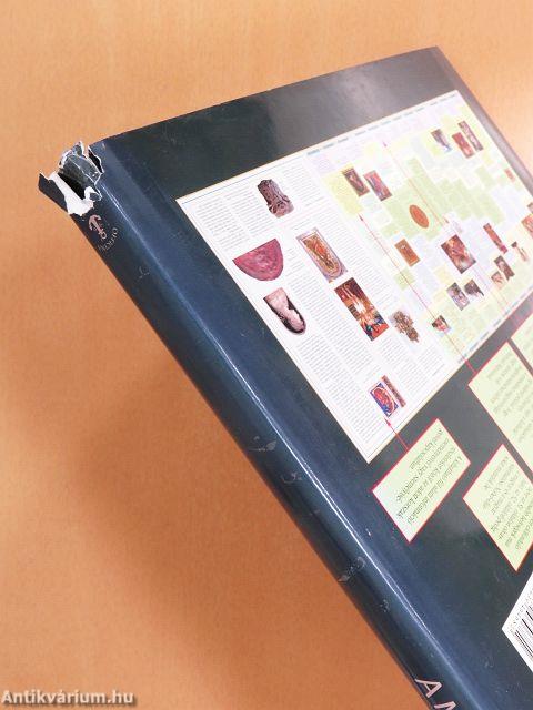 A magyarok története