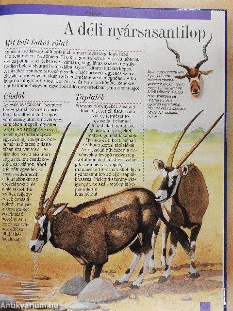 Az afrikai sivatagok és Madagaszkár állatvilága