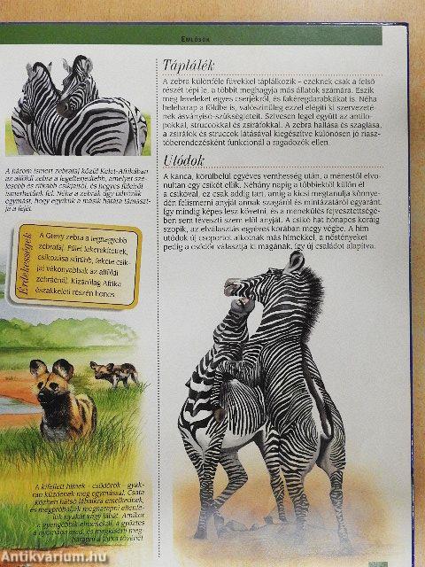 A szavannák állatvilága