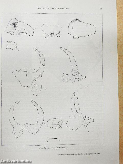 Acta Archaeologica 1985 I-II.