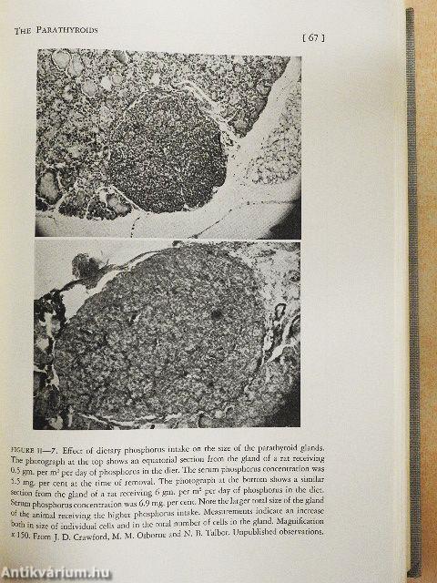 Functional Endocrinology